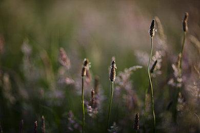 2.5D科幻复古《REPLACED》宣布跳票 2023年发售